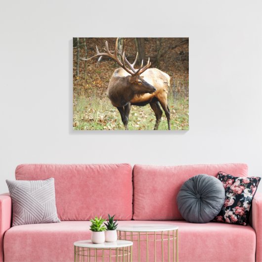 Smoky Mountain Elk Canvas (Insitu (Woonkamer))