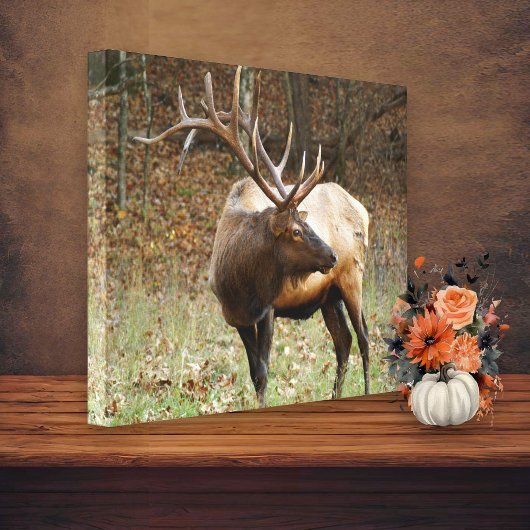Smoky Mountain Elk Canvas Afdruk