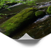 Smoky Mountain Mill Poster (Hoek)