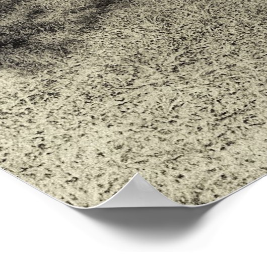 Smoky Mountain Outhouse Poster (Hoek)