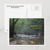 Smoky Mountain Stream Briefkaart (Voorkant / Achterkant)