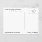 Smoky Mountain Stream Briefkaart (Achterkant)