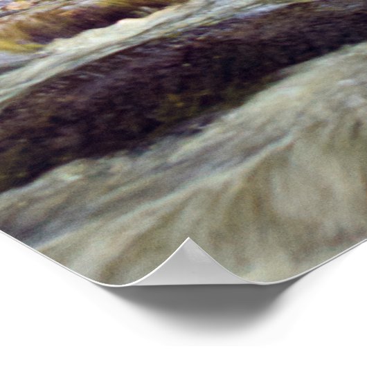 Smoky Mountain Stream - GSMNP Poster (Hoek)