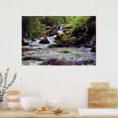 Smoky Mountain Stream - GSMNP Poster (Keuken)