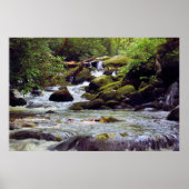 Smoky Mountain Stream - GSMNP Poster (Voorkant)