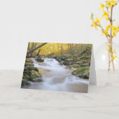 Smoky Mountain Stream Kaart (Gele Bloem)