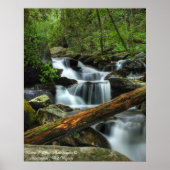 Smoky Mountain Stream Poster (Voorkant)