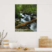 Smoky Mountain Stream Poster (Keuken)