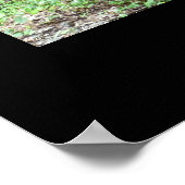Smoky Mountain Stream Poster (Hoek)