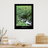 Smoky Mountain Stream Poster (Keuken)