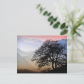 Smoky Mountain Sunset Blue Ridge Parkway Foto Briefkaart (Staand voorkant)