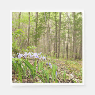 Smoky Mountain Trail in de lente Servet
