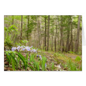 Smoky Mountain Trail in Spring (Voorkant Horizontaal)