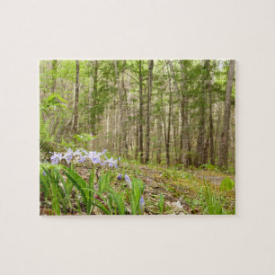 Smoky Mountain Trail in Spring Legpuzzel