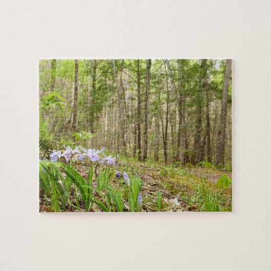 Smoky Mountain Trail in Spring Legpuzzel (Horizontaal)