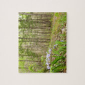 Smoky Mountain Trail in Spring Legpuzzel (Verticaal)