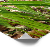 Smoky Mountain Trail in Spring Poster (Hoek)