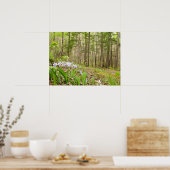 Smoky Mountain Trail in Spring Poster (Keuken)
