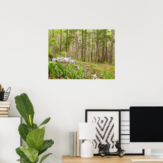 Smoky Mountain Trail in Spring Poster (Thuiskantoor)