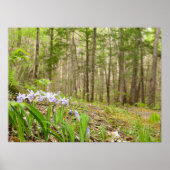 Smoky Mountain Trail in Spring Poster (Voorkant)