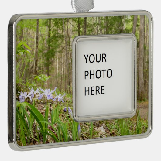 Smoky Mountain Trail in Spring Verzilverd Omlijst Ornament (Rechts)