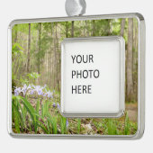 Smoky Mountain Trail in Spring Verzilverd Omlijst Ornament (Links)