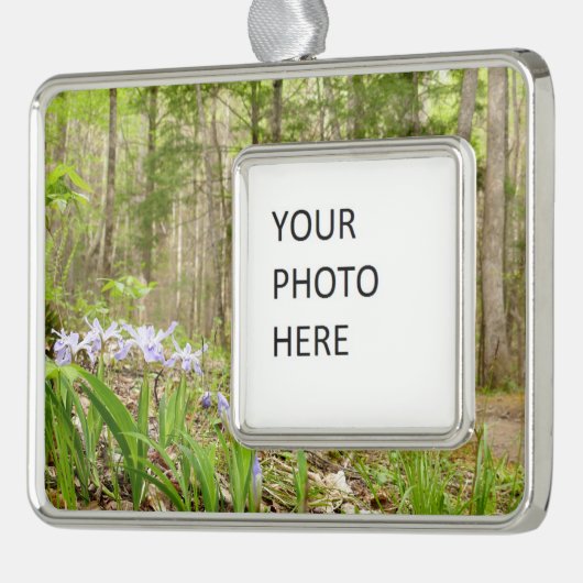 Smoky Mountain Trail in Spring Verzilverd Omlijst Ornament (Links)