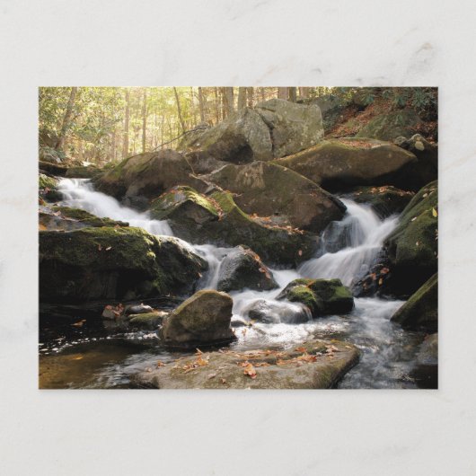 Smoky Mountain Waterfall II Briefkaart (Voorkant)