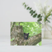 Smoky Mountains Black Bear Cub Wildlife Briefkaart (Staand voorkant)
