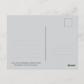 Smoky Mountains Black Bear Cub Wildlife Briefkaart (Achterkant)