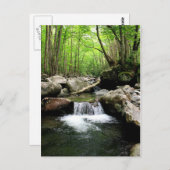 Smoky Mountains Briefkaart (Voorkant / Achterkant)