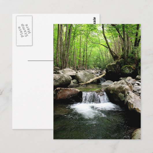 Smoky Mountains Briefkaart (Voorkant / Achterkant)