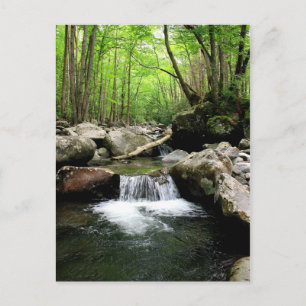 Smoky Mountains Briefkaart