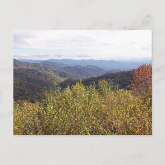 Smoky Mountains Briefkaart (Voorkant)