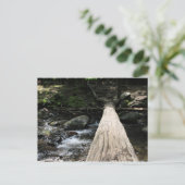 Smoky Mountains Briefkaart (Staand voorkant)