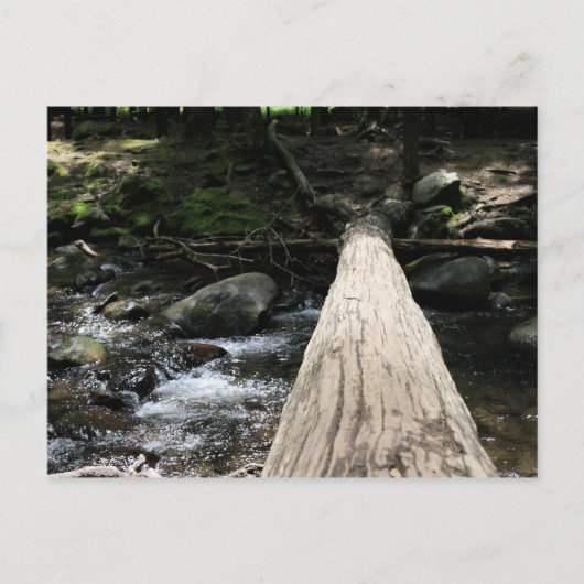 Smoky Mountains Briefkaart (Voorkant)