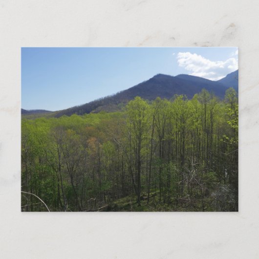 Smoky Mountains in Spring Landscape Briefkaart (Voorkant)