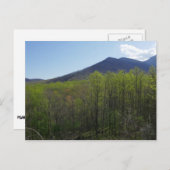 Smoky Mountains in Spring Landscape Briefkaart (Voorkant / Achterkant)