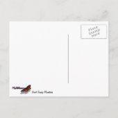 Smoky Mountains in Spring Landscape Briefkaart (Achterkant)