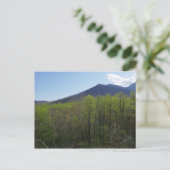 Smoky Mountains in Spring Landscape Briefkaart (Staand voorkant)