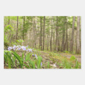 Smoky Mountains in Spring Landscape Inpakpapier Vel (Voorkant 2)