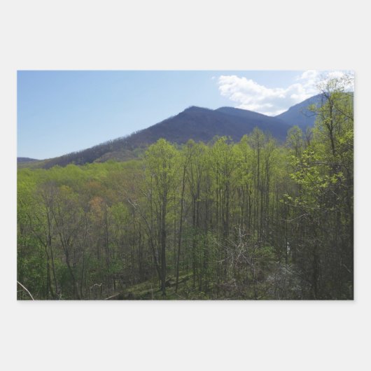 Smoky Mountains in Spring Landscape Inpakpapier Vel (Voorkant)