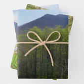 Smoky Mountains in Spring Landscape Inpakpapier Vel (In situ)