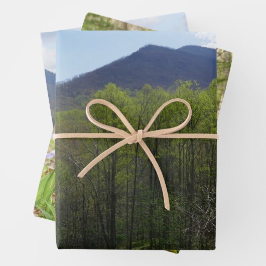 Smoky Mountains in Spring Landscape Inpakpapier Vel (In situ)