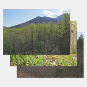 Smoky Mountains in Spring Landscape Inpakpapier Vel
