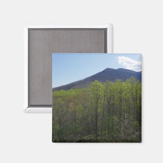 Smoky Mountains in Spring Landscape Magneet (Voorkant / Achterkant)