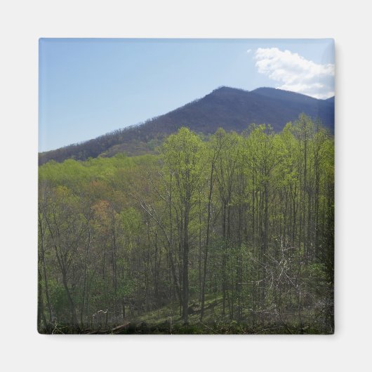 Smoky Mountains in Spring Landscape Magneet (Voorkant)
