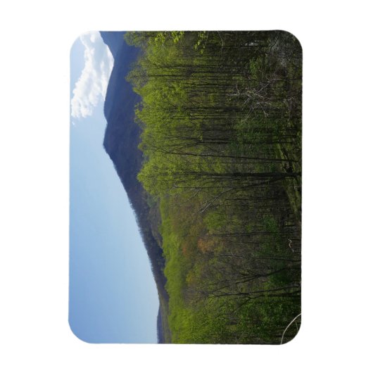 Smoky Mountains in Spring Landscape Magneet (Verticaal)