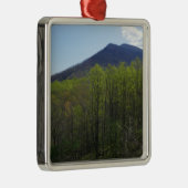 Smoky Mountains in Spring Landscape Metalen Ornament (Rechts)