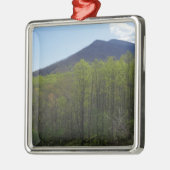 Smoky Mountains in Spring Landscape Metalen Ornament (Links)